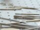Common Tools Used By Sterile Processing Technicians